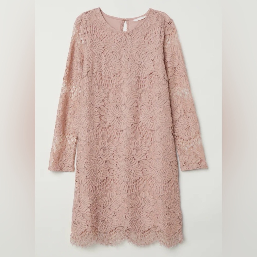 H&M Fairy Coquette Cottage Whimsigoth Boho Feminine Lace Dress Dusty Pink 14 L